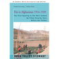 Fire in Afghanistan 1914-1929: The First Opening to the West Undone by Tribal Ferocity Years Before the Taliban - Paperback