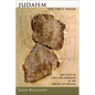 Judaism, the First Phase: The Place of Ezra and Nehemiah in the Origins of Judaism - Paperback