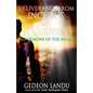 Deliverance from Incubus & Succubus: Sex Demons of the Night - Paperback