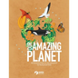 Our Amazing Planet - Introduction to Geography for Young Scientists - Paperback