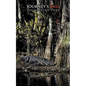 Journey's End - Paperback