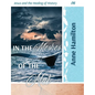 In the Meshes of the Net: Jesus and the Healing of History 06 - Paperback