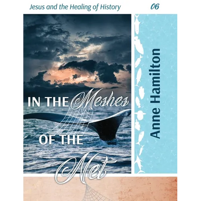 In the Meshes of the Net: Jesus and the Healing of History 06 - Paperback