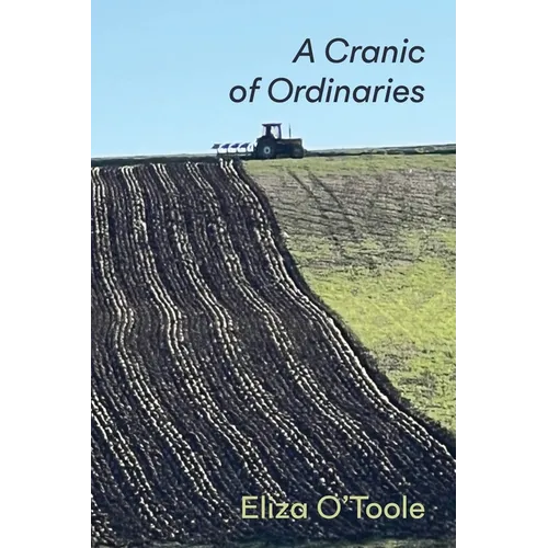 A Cranic of Ordinaries - Paperback