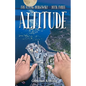 Altitude: The Flying Burgowski Book Three - Paperback
