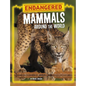 Endangered Mammals Around the World - Hardcover