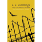 The Enormous Room (Warbler Classics) - Paperback