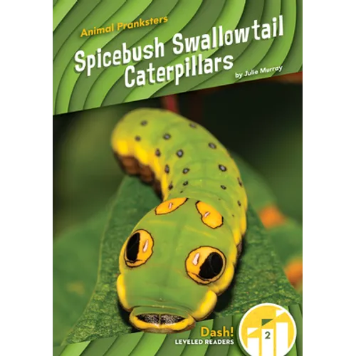 Spicebush Swallowtail Caterpillars - Library Binding