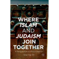 Where Islam and Judaism Join Together: A Perspective on Reconciliation - Paperback