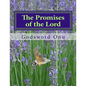 The Promises of the Lord: God Can Never Fail Nor Disappoint Anybody - Paperback