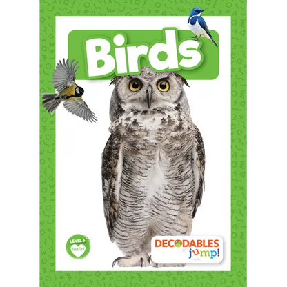 Birds - Paperback