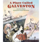 A Place Called Galveston - Hardcover