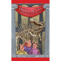 Double Trouble at the Museum - Paperback