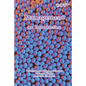 Management: An Introduction - Paperback