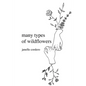many types of wildflowers - Paperback
