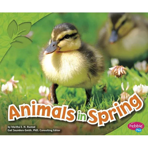 Animals in Spring - Paperback
