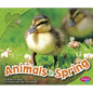 Animals in Spring - Paperback