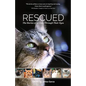 Rescued: The Stories of 12 Cats, Through Their Eyes - Paperback