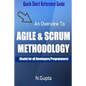 Agile and Scrum Methodology: Quick Short Reference Guide To Agile and Scrum Methodology - Paperback