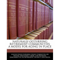 Naturally Occurring Retirement Communities: A Model for Aging in Place - Paperback