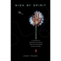 Wish by Spirit: A Journey of Recovery and Healing from an Autoimmune Blood Disease - Paperback