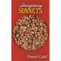 Imaginary Sonnets: Poems - Paperback