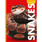 Curious about Snakes - Library Binding
