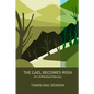 The Gael Becomes Irish: An Unfinished Odyssey - Paperback
