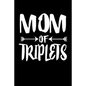 Mom Of Triplets: Family Collection - Paperback