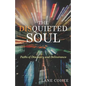 The Disquieted Soul: Paths of Discovery and Deliverance - Paperback