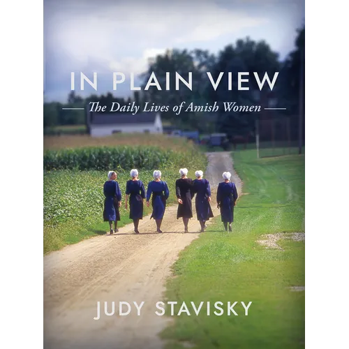 In Plain View: The Daily Lives of Amish Women - Hardcover