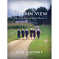 In Plain View: The Daily Lives of Amish Women - Hardcover