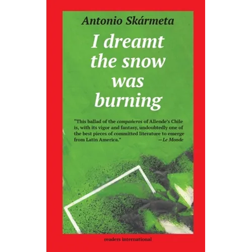 I Dreamt the Snow was Burning - Paperback