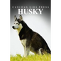 Husky - Curious Kids Press: Kids book about animals and wildlife, Children's books 4-6 - Paperback