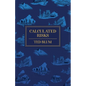 Calculated Risks - Paperback