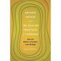 Antonin Artaud and the Healing Practices of Language: How Life Matters in Artaud's Later Writings - Paperback