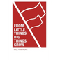 From little things big things grow: Strategies for building revolutionary socialist organisations - Paperback