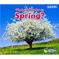 What Can You See in Spring? - Paperback