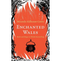 Enchanted Wales: Myth and Magic in Welsh Storytelling - Hardcover