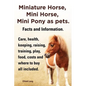 Miniature Horse, Mini Horse, Mini Pony as Pets. Facts and Information. Miniature Horses Care, Health, Keeping, Raising, Training, Play, Food, Costs an - Paperback