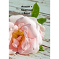 Address and Telephone Book: Address and Telephone Book 7" x 10" 187 pages - Paperback