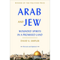Arab and Jew: Wounded Spirits in a Promised Land - Paperback