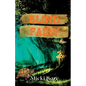 Blind Fairy: Zahra of the Uwharries - Paperback