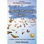 Crystal's Butterfly Effect: A Mother's Journey From Loss to Transformation - Paperback