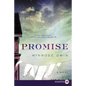 Promise - Paperback