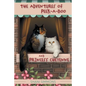The Adventures of Peek-A-Boo and Princess Cheyenne - Paperback