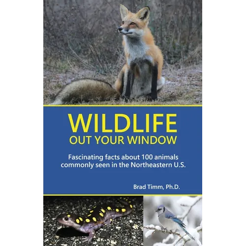 Wildlife Out Your Window: Fascinating Facts About 100 Animals Commonly Seen in the Northeastern U.S. - Paperback