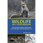 Wildlife Out Your Window: Fascinating Facts About 100 Animals Commonly Seen in the Northeastern U.S. - Paperback