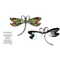 Dragonfly Inspriational Pocket Charm -