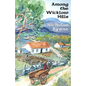 Among the Wicklow Hills - Paperback